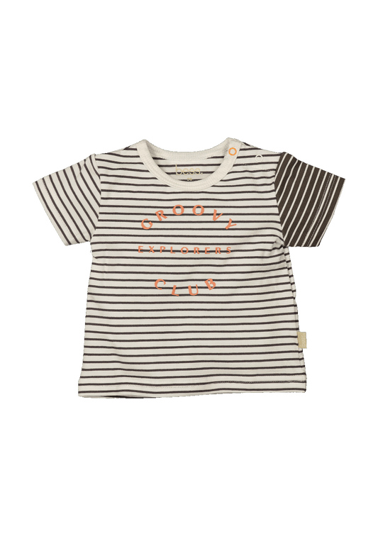 Shirt sh.sl. Striped