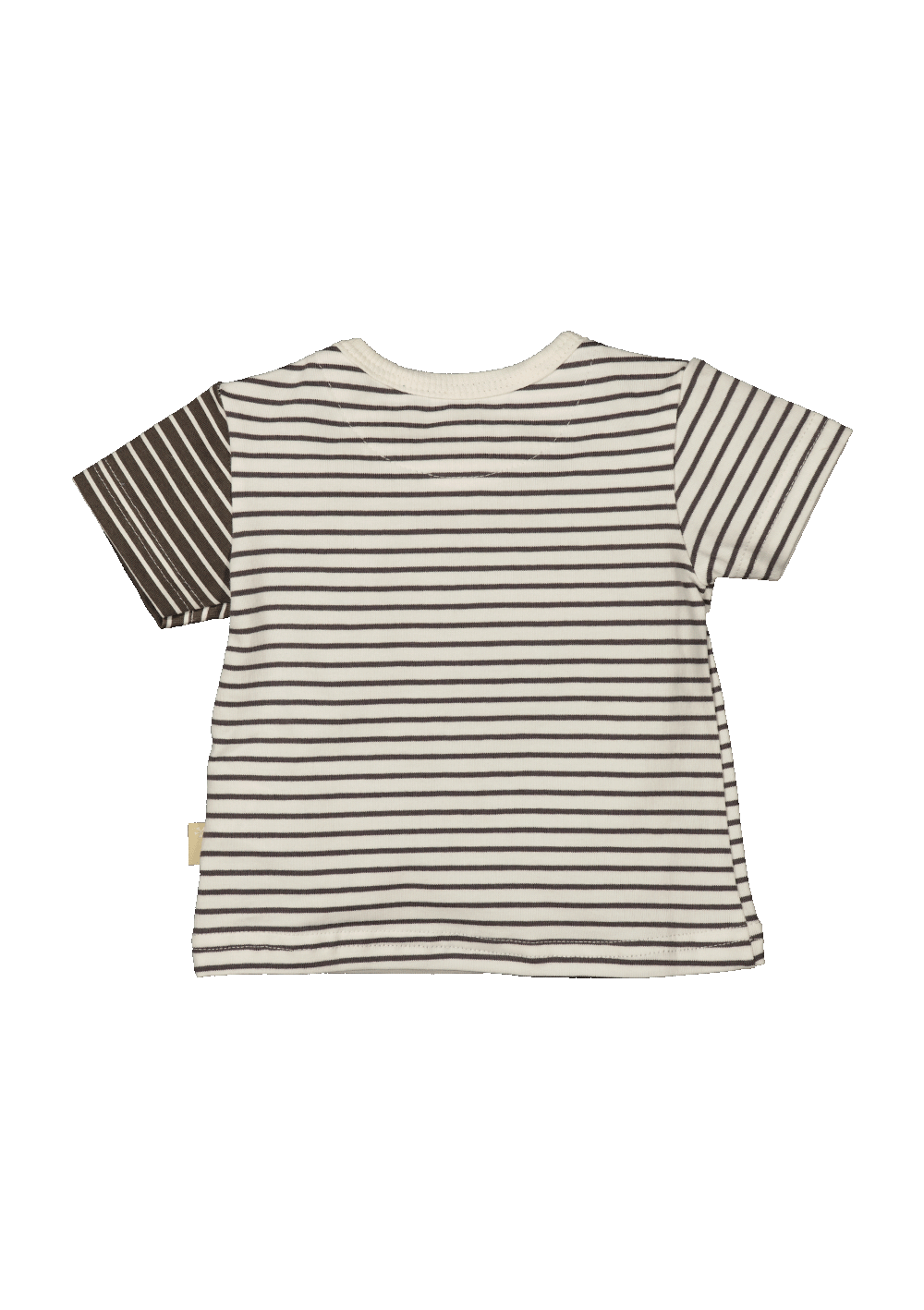 Shirt sh.sl. Striped