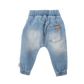 Pants Denim Embroidery