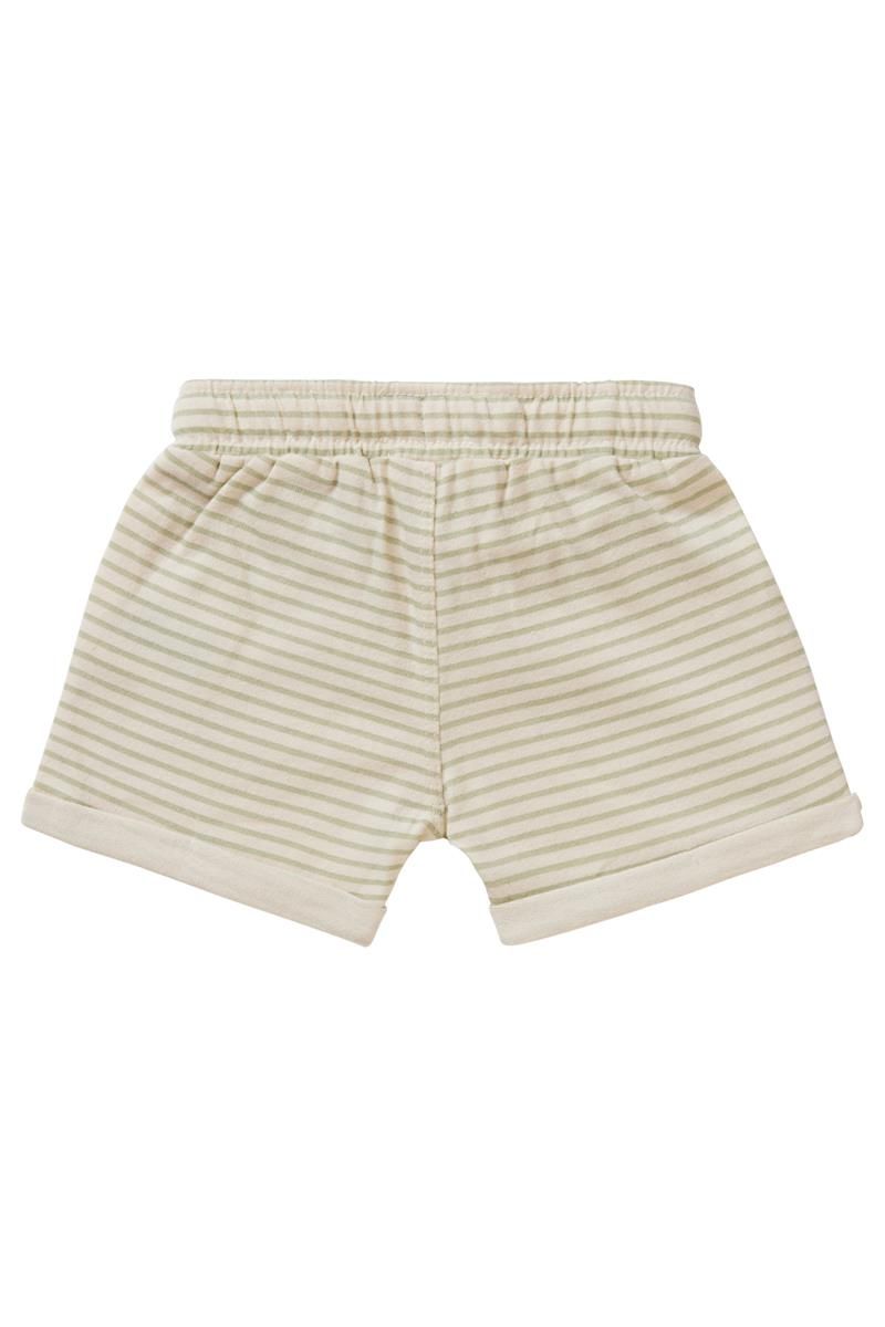 Boys Short  Basye stripe