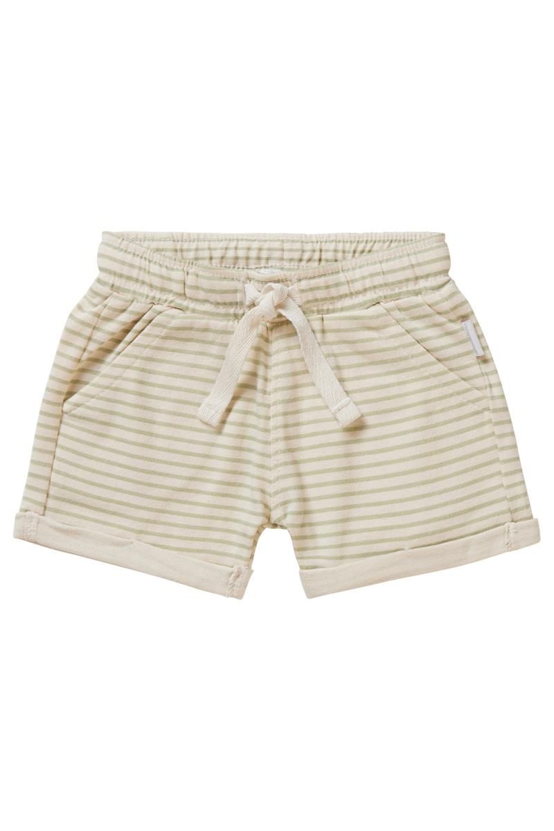 Boys Short  Basye stripe