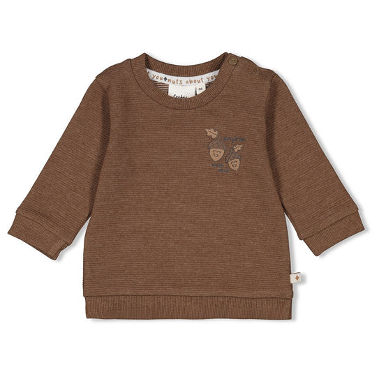 Sweater rib - Acorn