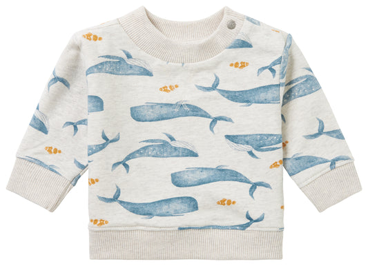 Noppies Boys Sweater Motley all over print
