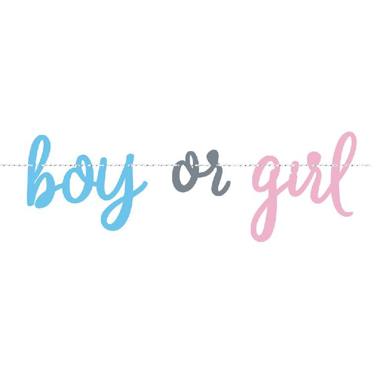 Letterslinger Gender Reveal 213cm